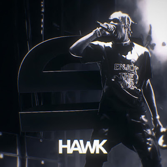 Meet your Posher, Hawk - Picture 1 of 1